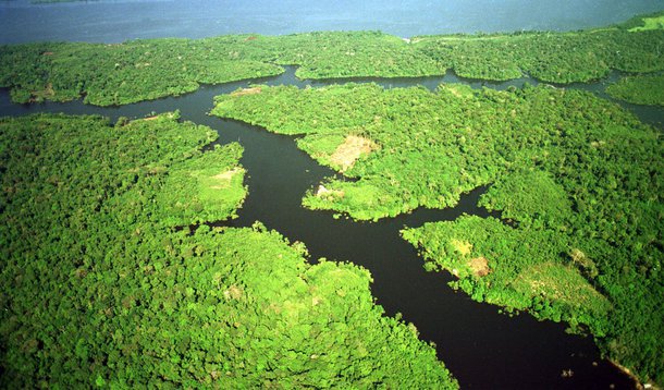 Golpe se preserva também à custa da devastação da Amazônia