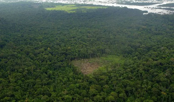 Fundo Clima aprova R$ 10,2 bilhões em crédito para projetos de sustentabilidade