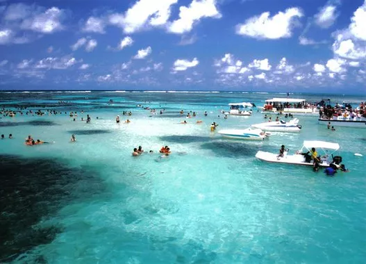 Galés, região de corais na Praia de Maragoji, Alagoas
