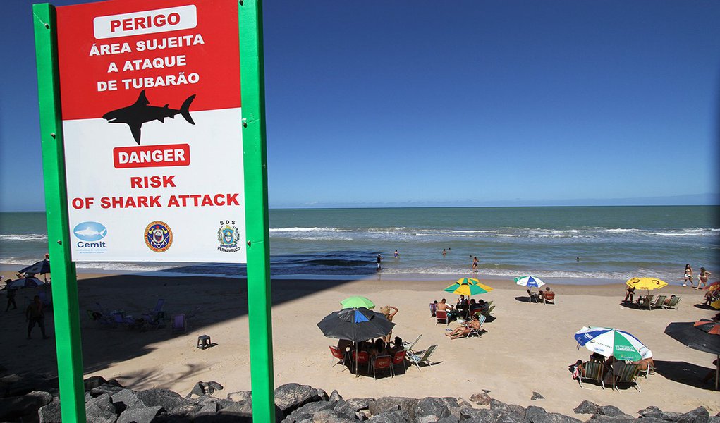 Jovem é atacado por tubarão em praia de Pernambuco