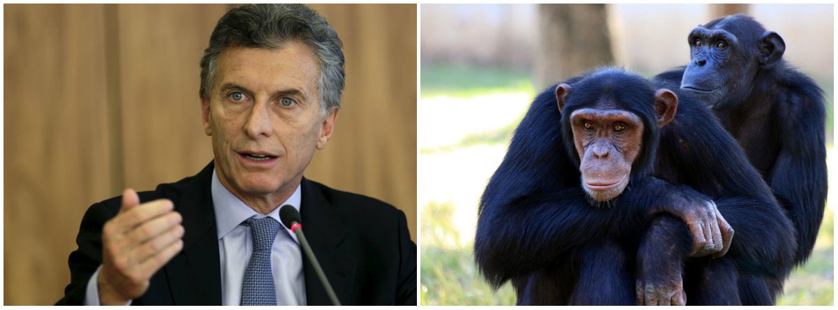 Os grandes contrabandistas (como Macri) pagam jornalistas para alimentar o medo do populismo. Sempre achei que, em algumas atitudes, o macaco supera em muito o homem, pelo menos os chimpanzés não lutam com outros macacos, para enviar todas as bananas aos paraísos fiscais de um rico primata
