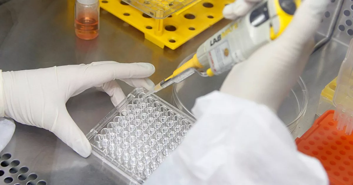 Testes de cosméticos