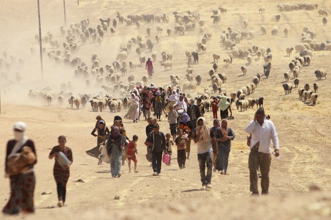 Refugiados yazidi que perderam tudo vagam a esmo pelas montanhas da fronteira dom Iraque com a Síria.