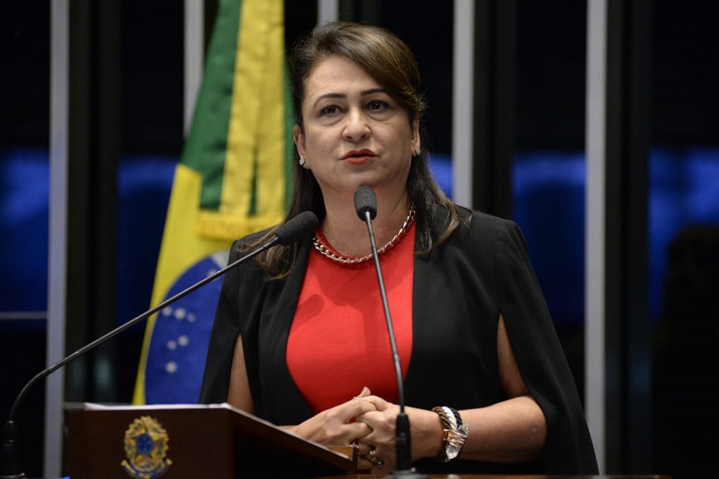 Plenário do Senado durante sessão deliberativa ordinária. Em discurso, senadora Kátia Abreu (PMDB-TO). Foto: Jane de Araújo/Agência Senado