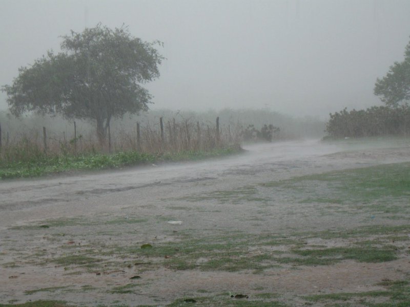 Foram registradas precipitações em 102 dos 184 municípios do estado até as 11 horas. A previsão para hoje é de chuva em todas as regiões, ao longo do dia