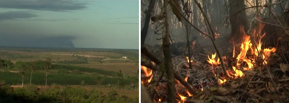 Mais dois focos de incêndio florestal foram descobertos no Parque Nacional do Monte Pascoal, em Porto Seguro, que fica no extremo-sul baiano; o parque sofre com incêndios há cerca de dois meses e 5,05% dos 22.383 hectares de Mata Atlântica já foram queimados, o equivalente a 1.127,96 hectares; de acordo com o ICMBio, os incêndios são criminosos; investigações apontam que as chamas são consequência de madeira extraída ilegalmente