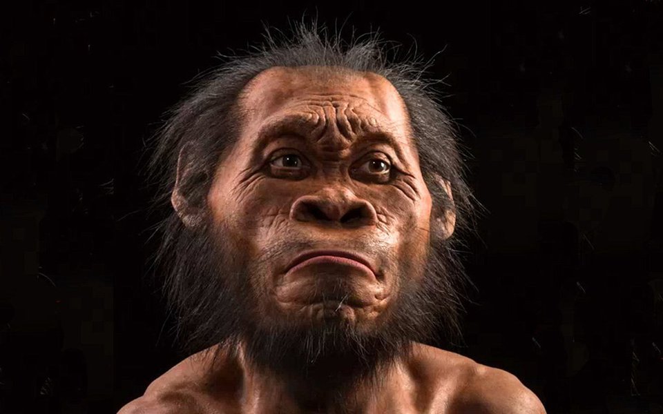 Com características ainda simiescas e outras muito semelhantes ao Homo sapiens, uma nova espécie de hominídeo foi encontrada em uma caverna da África do Sul. Ela pode ter 3 milhões de anos. A descoberta é muito importante, excepcional e provocará longas discussões.