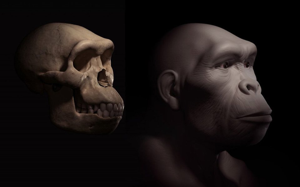 A reconstrução dos rostos dos hominídeos que existiram ao longo dos milhões de anos em que durou a evolução da espécie humana é a paixão e a arte do paleoartista John Gurche. No vídeo abaixo, 4 milhões de anos de evolução são sintetizados em 2 minutos.