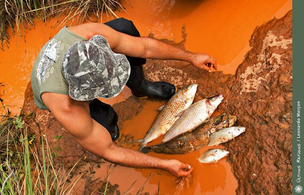 Defensores da mineradora ignoram definição de toxicidade para amenizar impactos do rompimento da barragem em Mariana; não somente metais pesados têm efeito nocivo