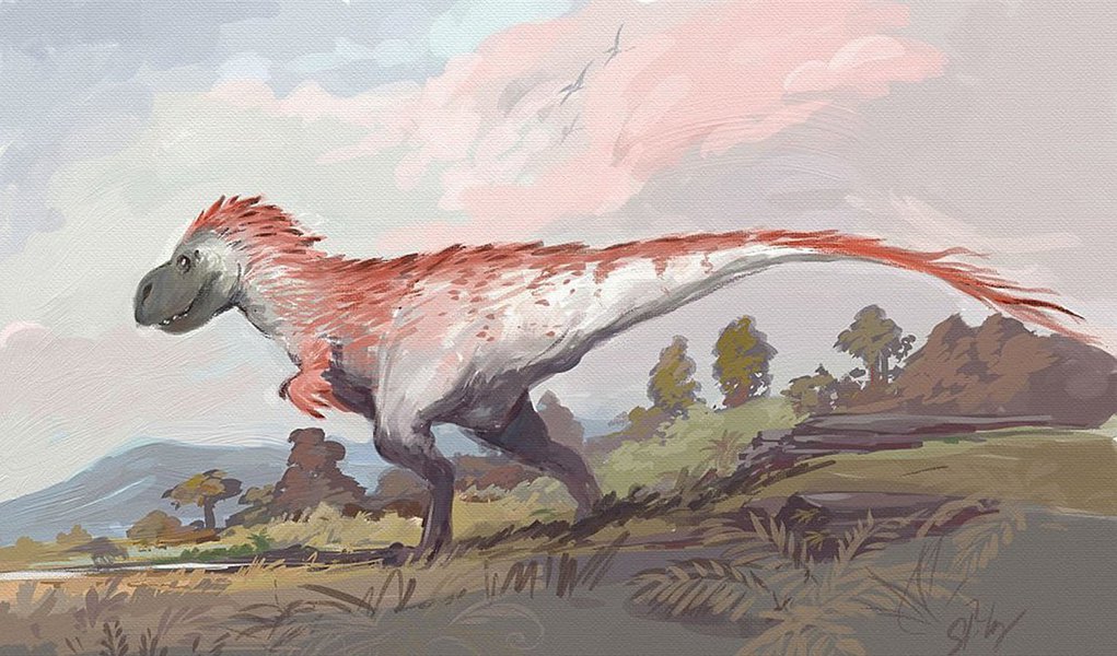 Boa parte dos dinossauros eram emplumados, inclusive aqueles que não tinham asas e portanto não voavam. As plumas eram usadas para a comunicação entre esses animais.