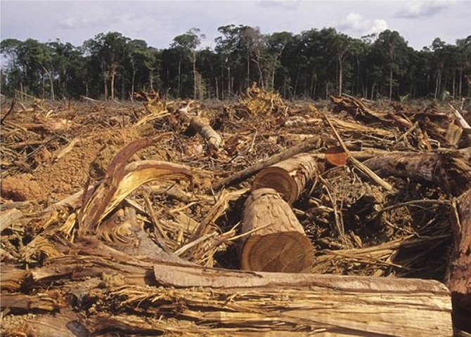 Final de 2014 e início de 2015 foram catastróficos para o meio ambiente no Brasil