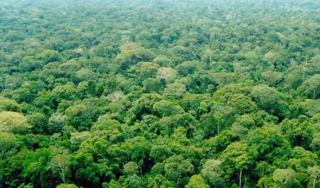 Levantamento do Instituto Nacional de Pesquisas Espaciais (Inpe) mostra que o Tocantins reduziu em 35% a área desmatada no bioma amazônico; entre agosto de 2012 e julho de 2013, a área desmatada foi de 74 km²; Maranhão foi o estado que menos desmatou, apresentando uma redução de 39%; levantamento não diferencia áreas de desmatamento autorizado das áreas de desmatamento ilegal