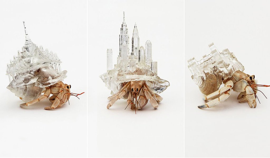 Os caracóis de Aki Inomata, artista japonesa que projeta e estampa em 3D casas de fino design para caranguejos-eremitas terrestres e marinhos