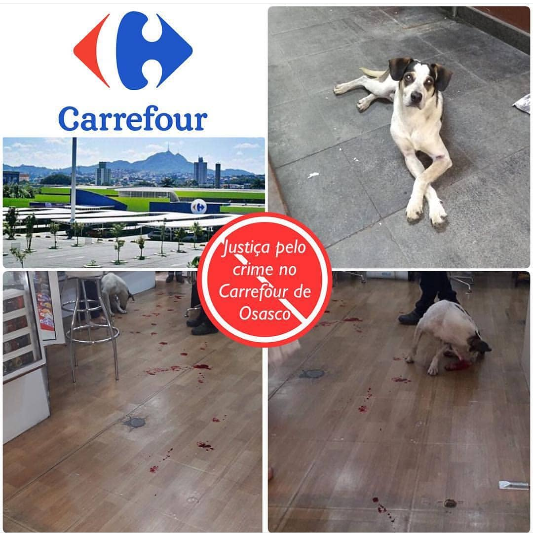 Crueldade - cão é espancado até a morte no Carrefour Osasco