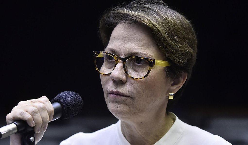 Ministra da Agricultura de Bolsonaro, Tereza Cristina é a 'musa do veneno'