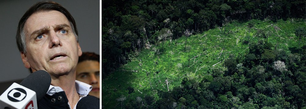 Bolsonaro ameaça Amazônia e biodiversidade, alertam geógrafos