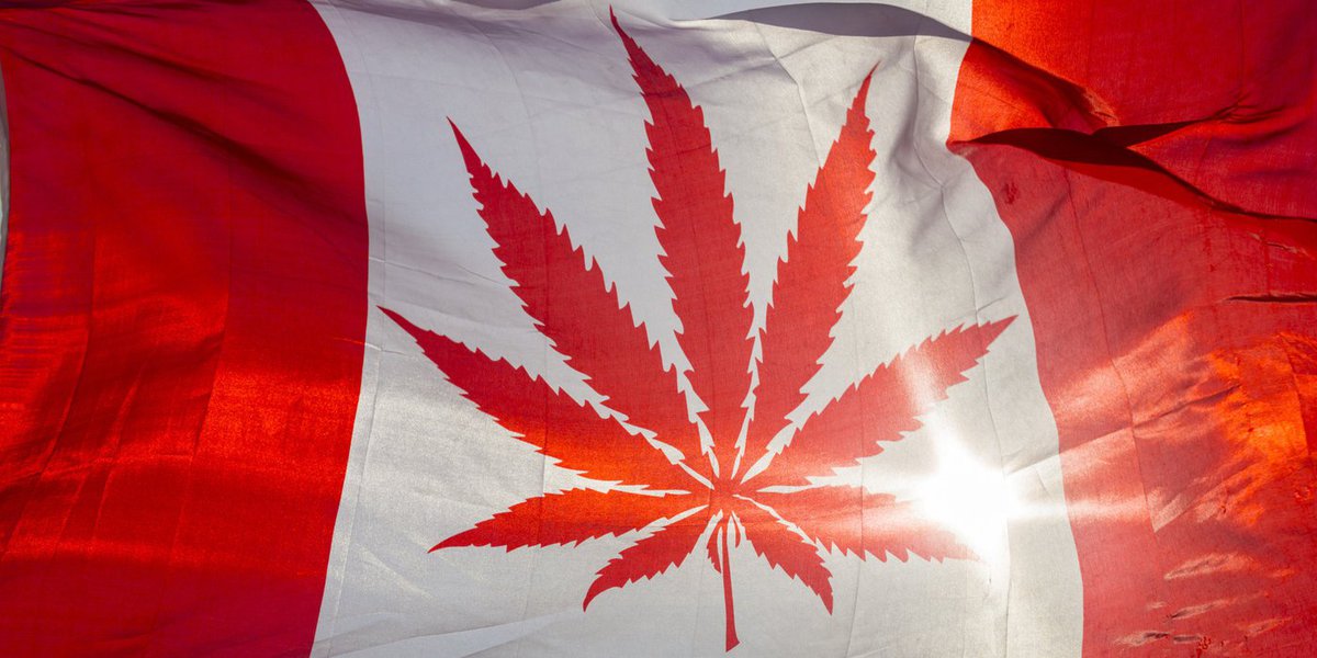 Canadá torna-se segundo país do mundo a legalizar maconha para fins recreativos