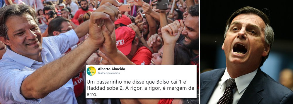 Ibope deve trazer empate entre Haddad e Bolsonaro
