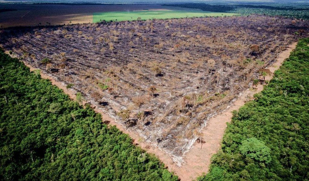 Desmatamento cresce na Amazônia, diz Inpe