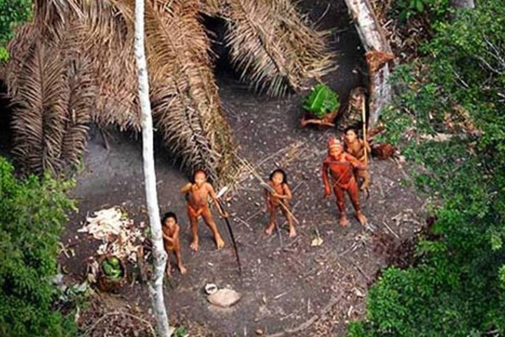 Indigenistas temem impacto do governo Bolsonaro sobre tribos isoladas