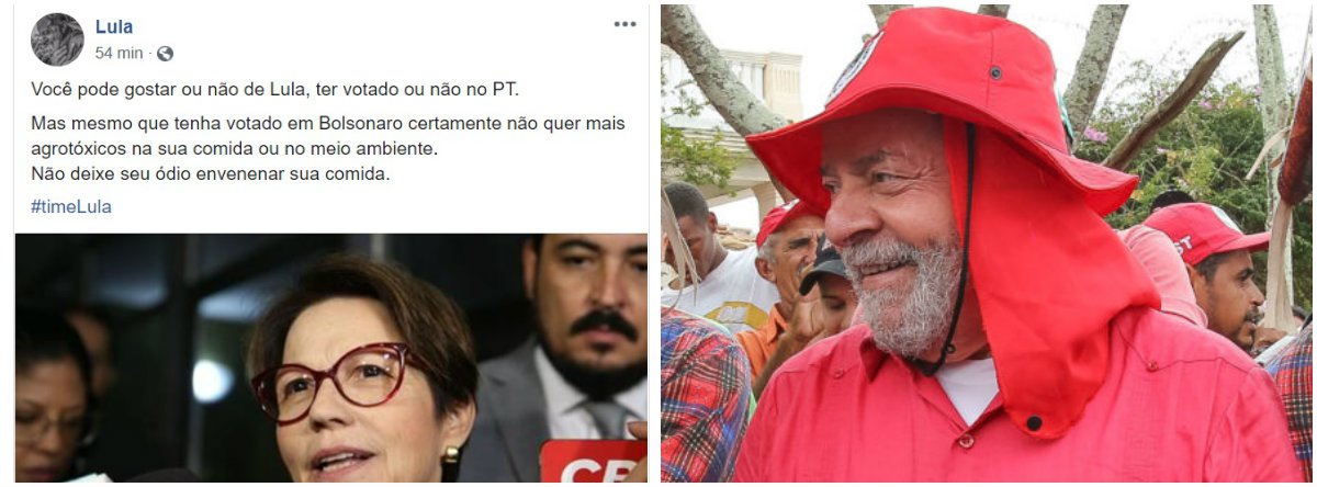 Lula critica liberação de agrotóxicos: não deixe seu ódio envenenar sua comida