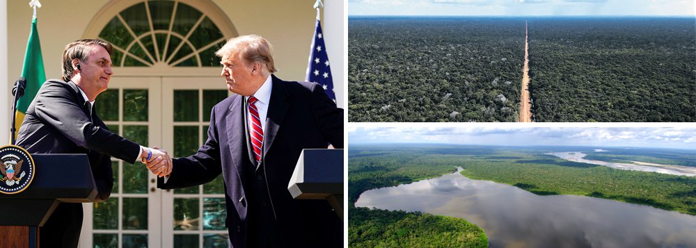 Bolsonaro anuncia entrega da Amazônia aos EUA
