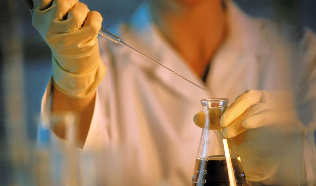 Pesquisa brasileira reforça poder anti-inflamatório da castanha-do-pará