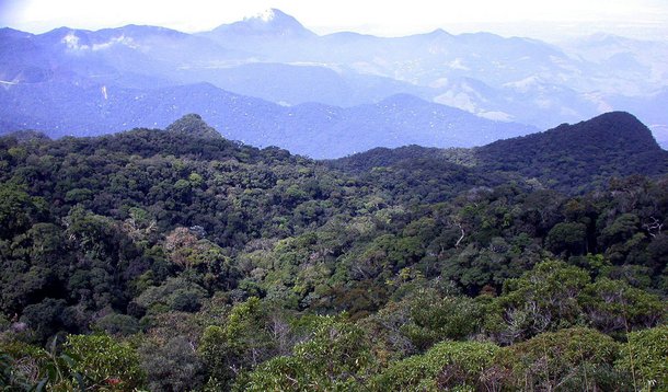 (Foto: Divulgação)