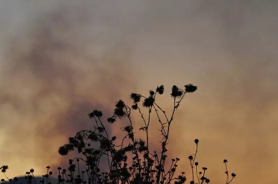 Incêndio florestal no Parque Nacionalspin pokerBrasília está controlado