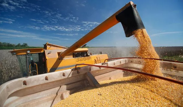 Governo prepara MP para renegociação de dívidas do setor agropecuário