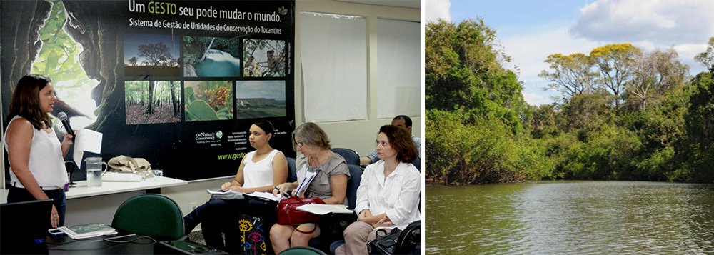 Tocantins reformula política ambiental