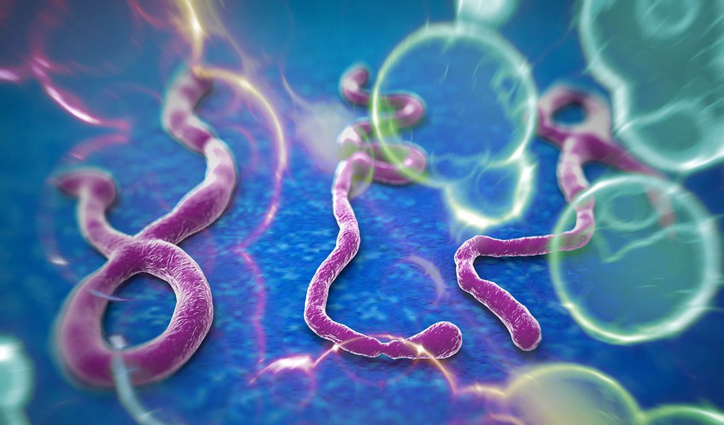 Cover image for Paciente com suspeita de Ebola é internado em São Paulo
