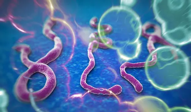 Paciente com suspeita de Ebola é internado em São Paulo