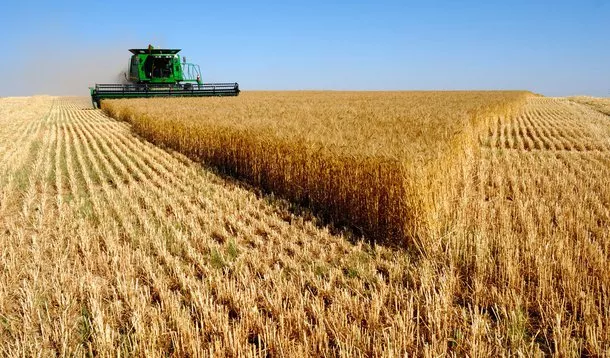 BNDES aprova quase R$ 30 bilhões no Plano Safra 2024/25 e reforça apoio ao agro na Agrishow
