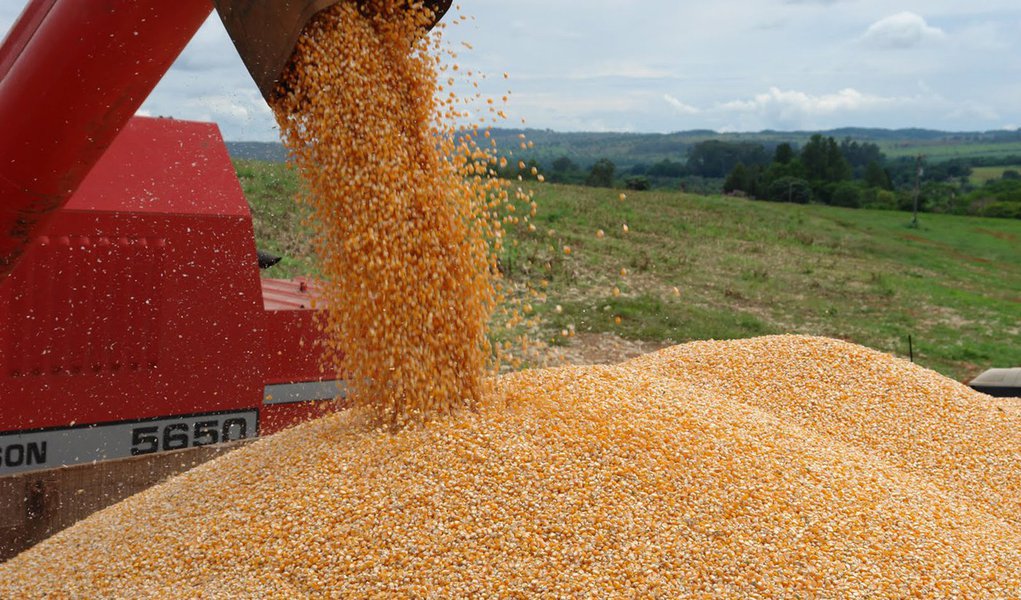 Preço do milho no Brasil cai à mínima de quase 4 anos