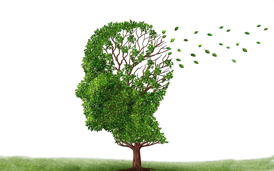 Alzheimer, o inimigo da memória. É a primeira coisa que esse mal ataca