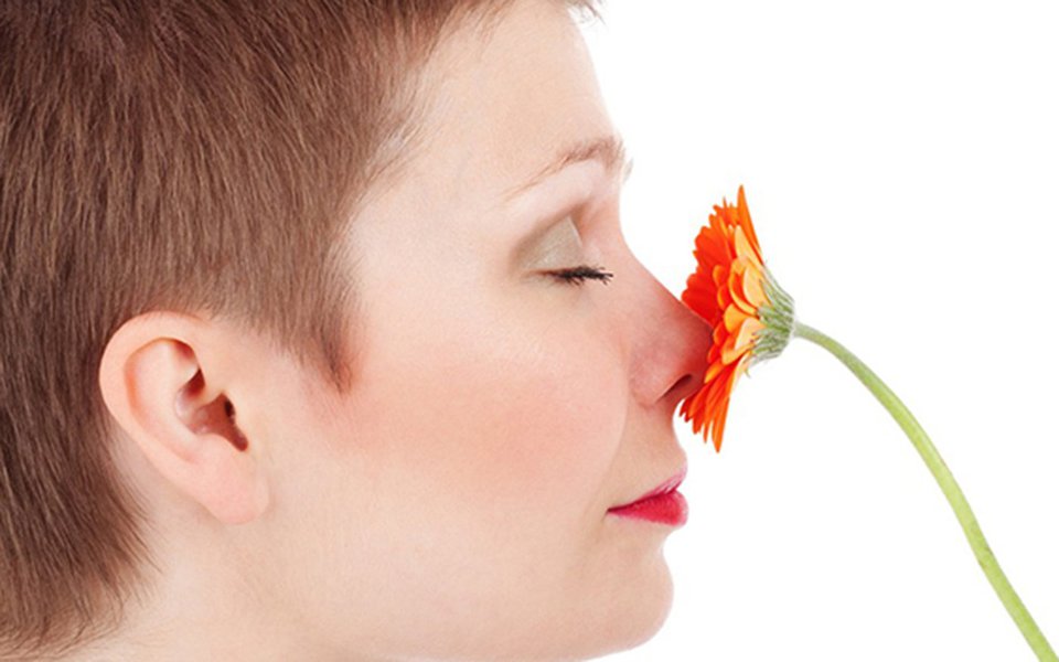 A perda do olfato. Uma síndrome rara e pouco conhecida