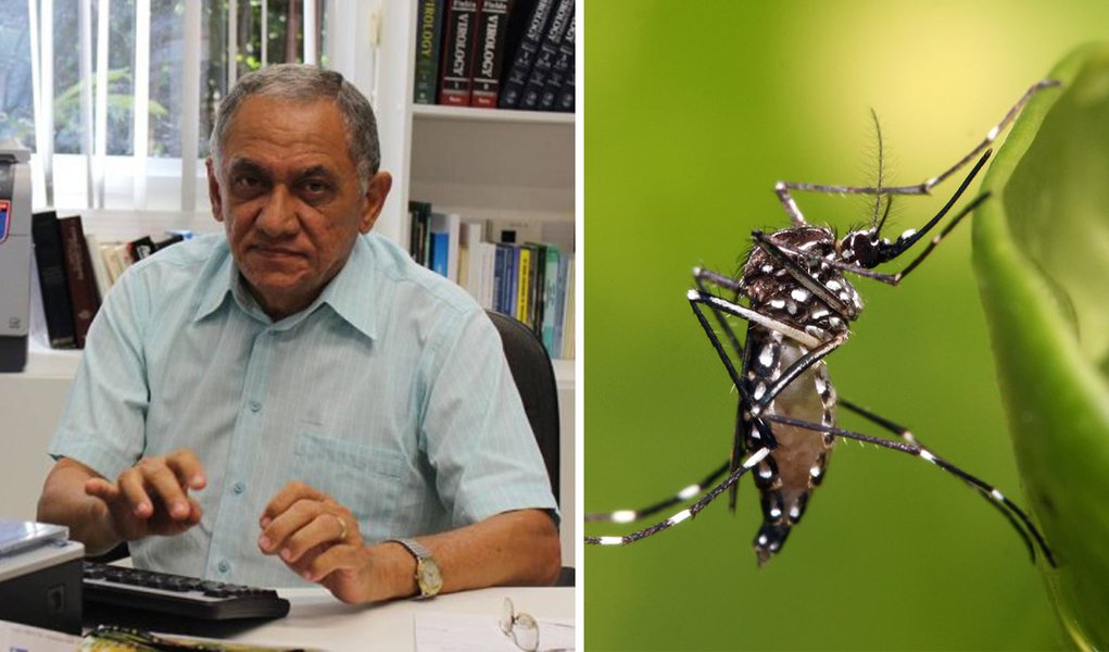 Brasileiro da OMS: dengue é mais grave que chikungunya e zika juntos