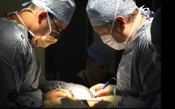 Transplante de fígado aumenta sobrevida em pacientes com câncer de intestino metastático