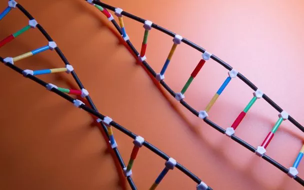 O fim do princípio-Adão