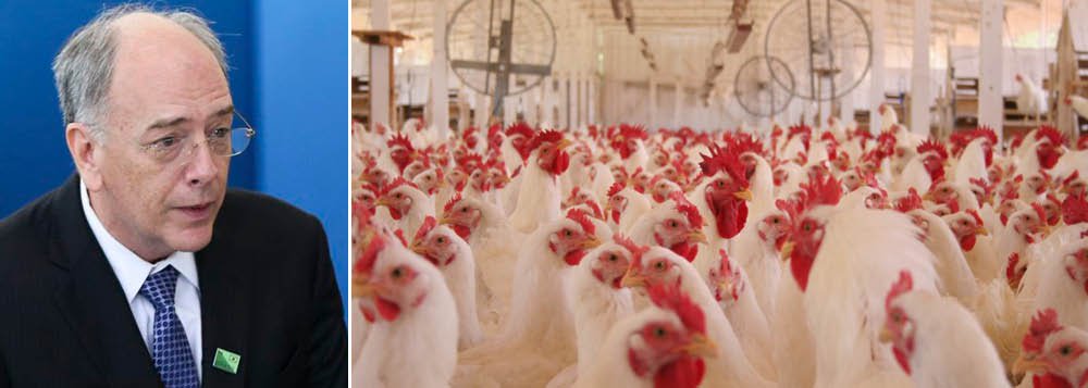 Caos de Parente pode matar 1 bilhão de aves e destruir indústria de alimentos