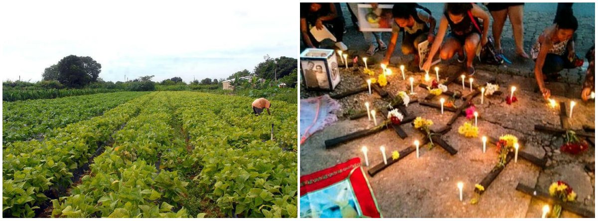 No dia do Trabalhador Rural, CUT lamenta: País é recordista mundial em homicídios no campo