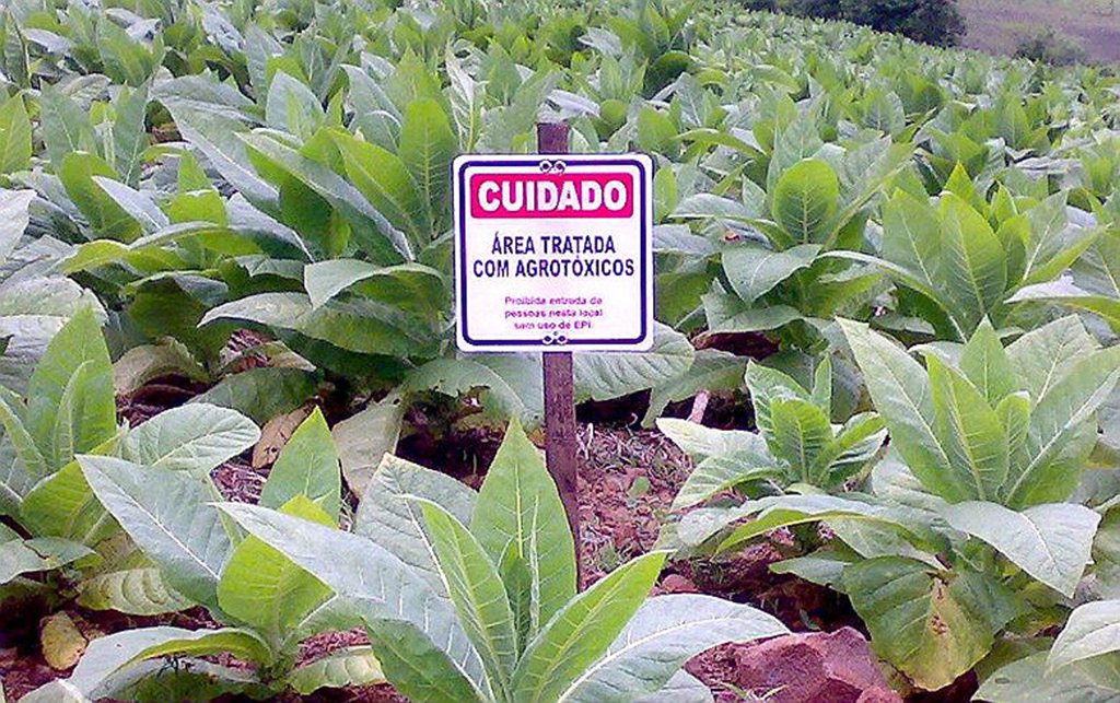 Segurança Alimentar: porque precisamos falar sobre isso