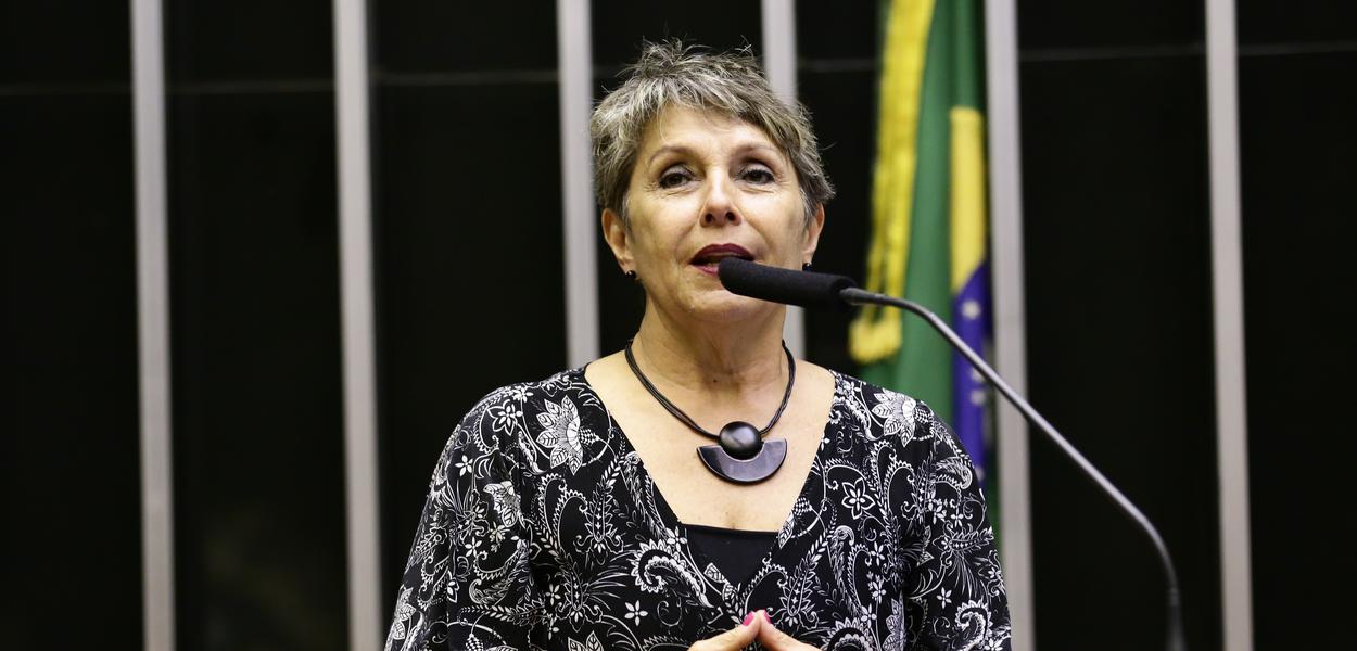 (Foto: Michel Jesus - Câmara)