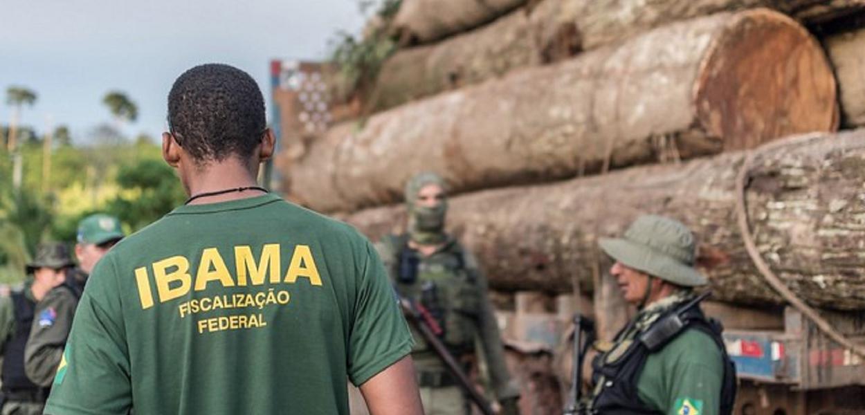 (Foto: IBAMA)