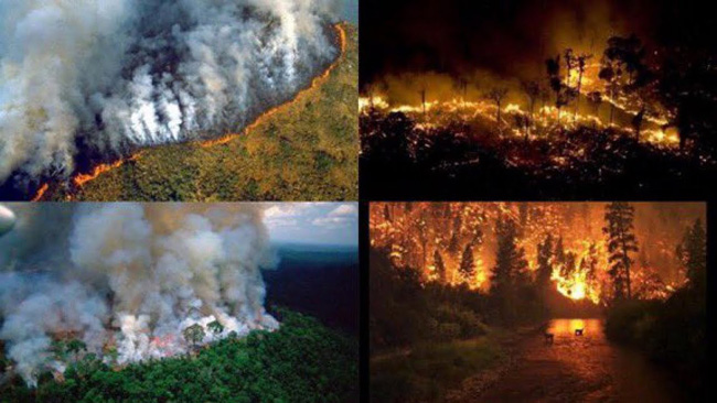Incêndios na floresta amazônica