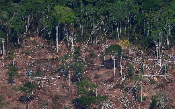 Floresta amazônica, perto de Novo Progresso, Pará.