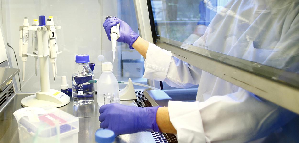 [À MODIFIER - vide ou texte alternatif de l’image]