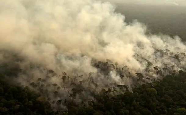 "A Amazônia está morrendo" e o Brasil é o principal culpado, diz cientista do Inpe