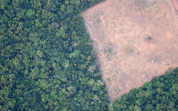 Vista de área desmatada da floresta amazômica perto de Porto Velho 21/08/2019